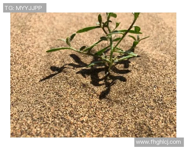 深度探讨赵静在DOTA2世界中的成长与挑战之旅 深度探讨赵静在DOTA2世界中的成长与挑战之旅